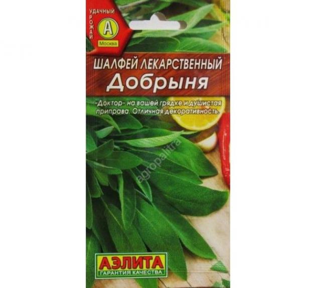 Шалфей (Сальвия) Добрыня
