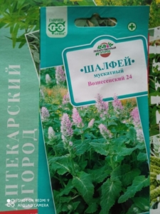 Шалфей (Сальвия) Вознесенский 24