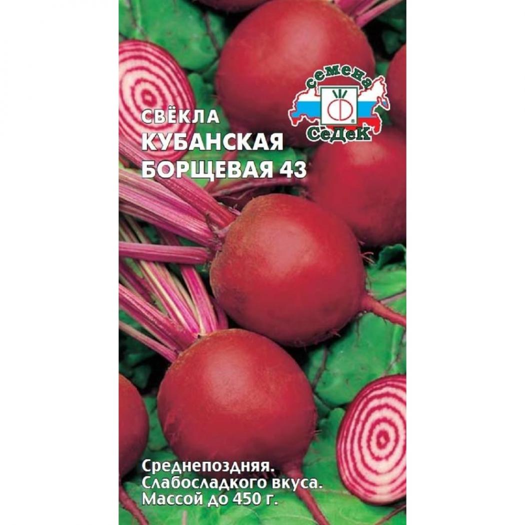 Свекла Кубанская борщевая 43 2