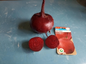 Свекла Купчиха