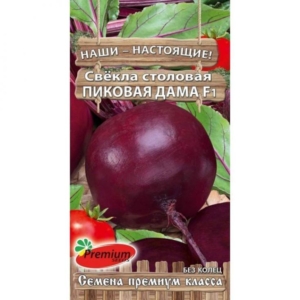 Свекла Пиковая Дама