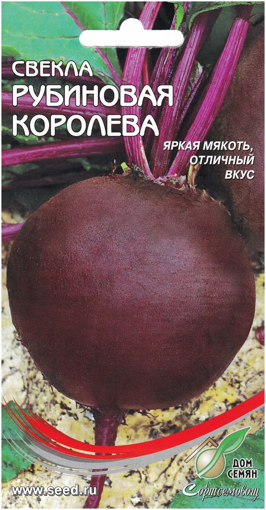 Свекла Рубиновая королева 4