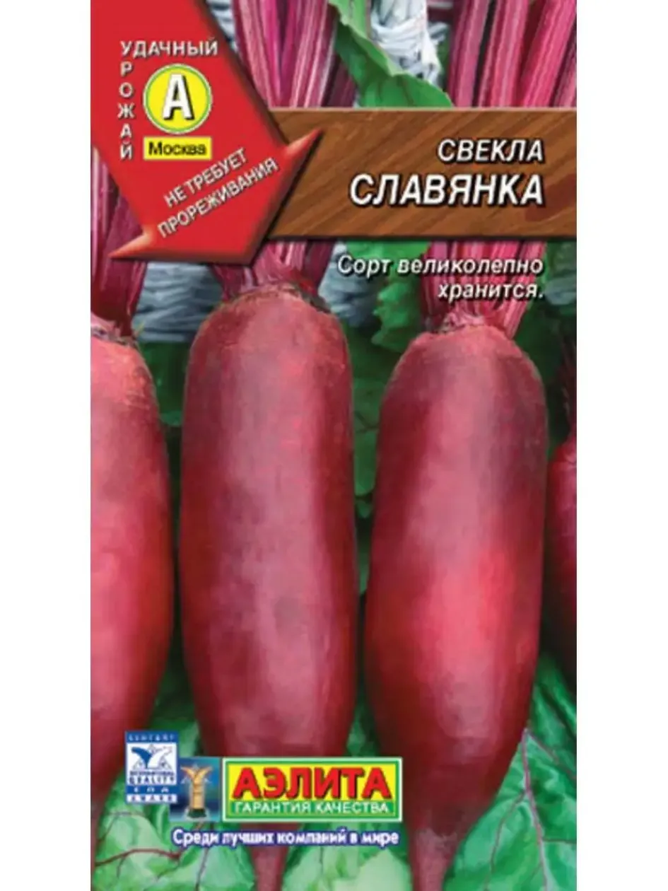 Свекла Славянка
