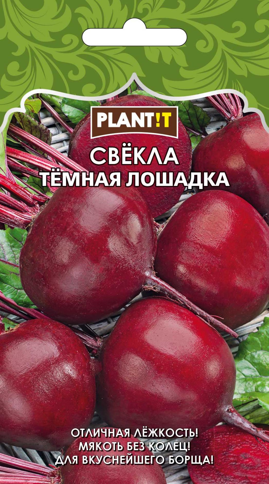 Свекла Темная лошадка