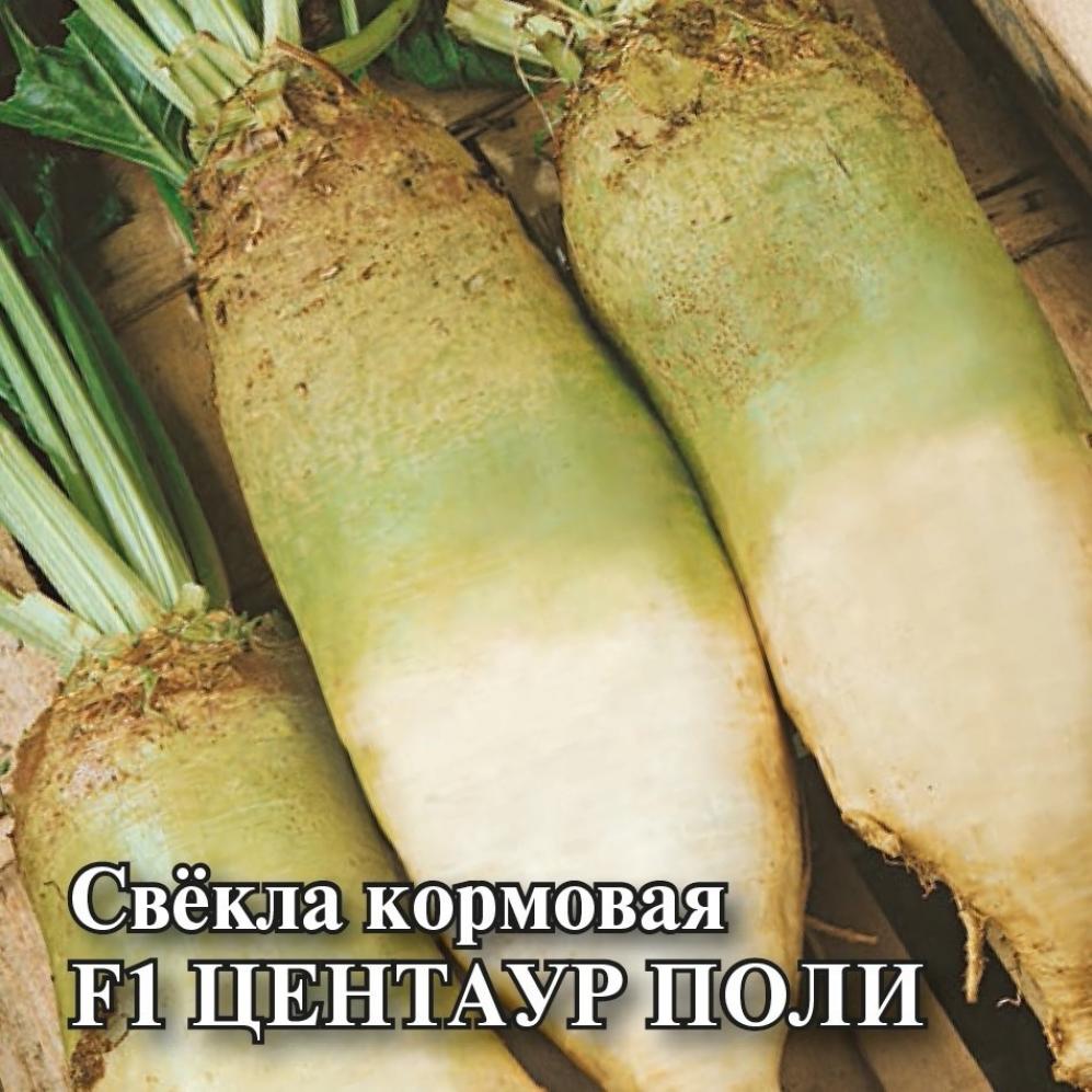 Свекла Центаур Поли