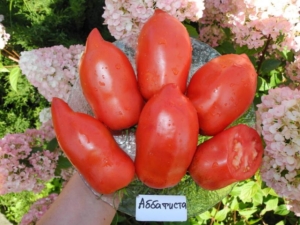 Томат Аббатиста
