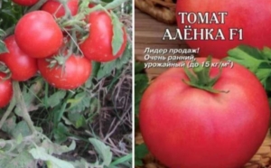 Томат Аленка