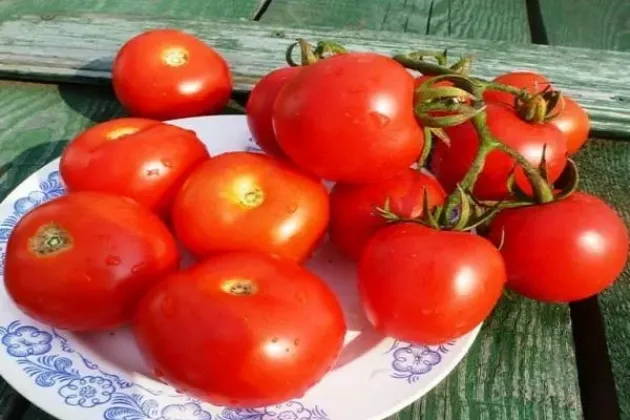 Томат Альгамбра 2