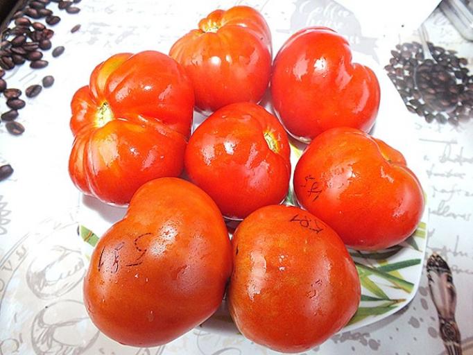 Томат Алое Сердце Скарлет