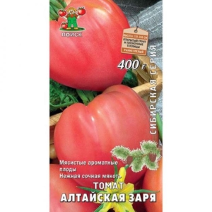 Томат Алтайская заря