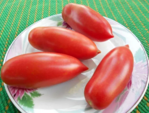 Томат Алые свечи