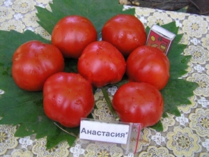 Томат Анастасия