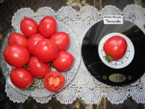 Томат Анастасия Ушакова
