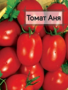 Томат Аня
