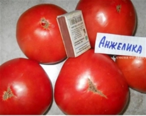 Томат Анжелика