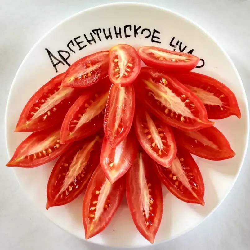 Томат Аргентинское чудо 2