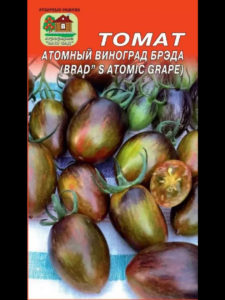 Томат Атомный виноград Бреда