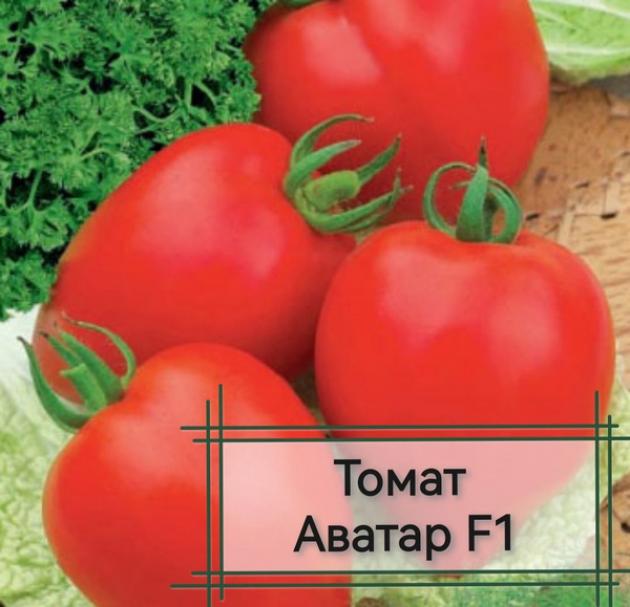 Томат Аватар 2