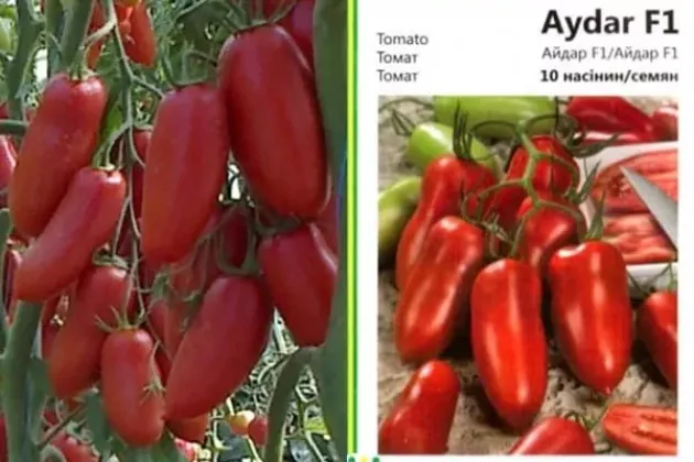 Томат Айдар