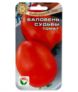 Томат Баловень судьбы