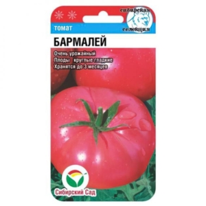 Томат Бармалей