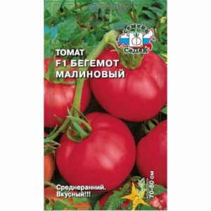 Томат Бегемот малиновый