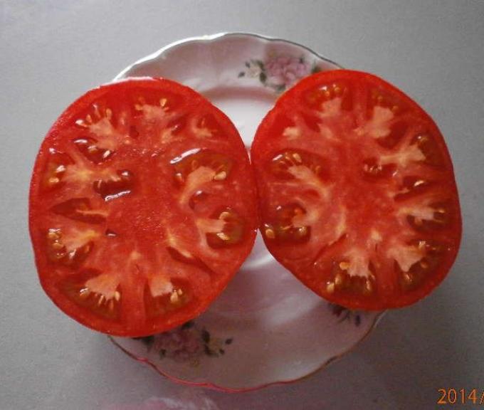 Томат Бельмонте 2