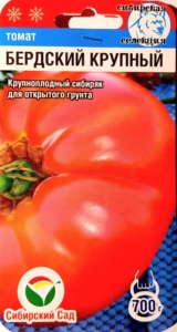 Томат Бердский крупный