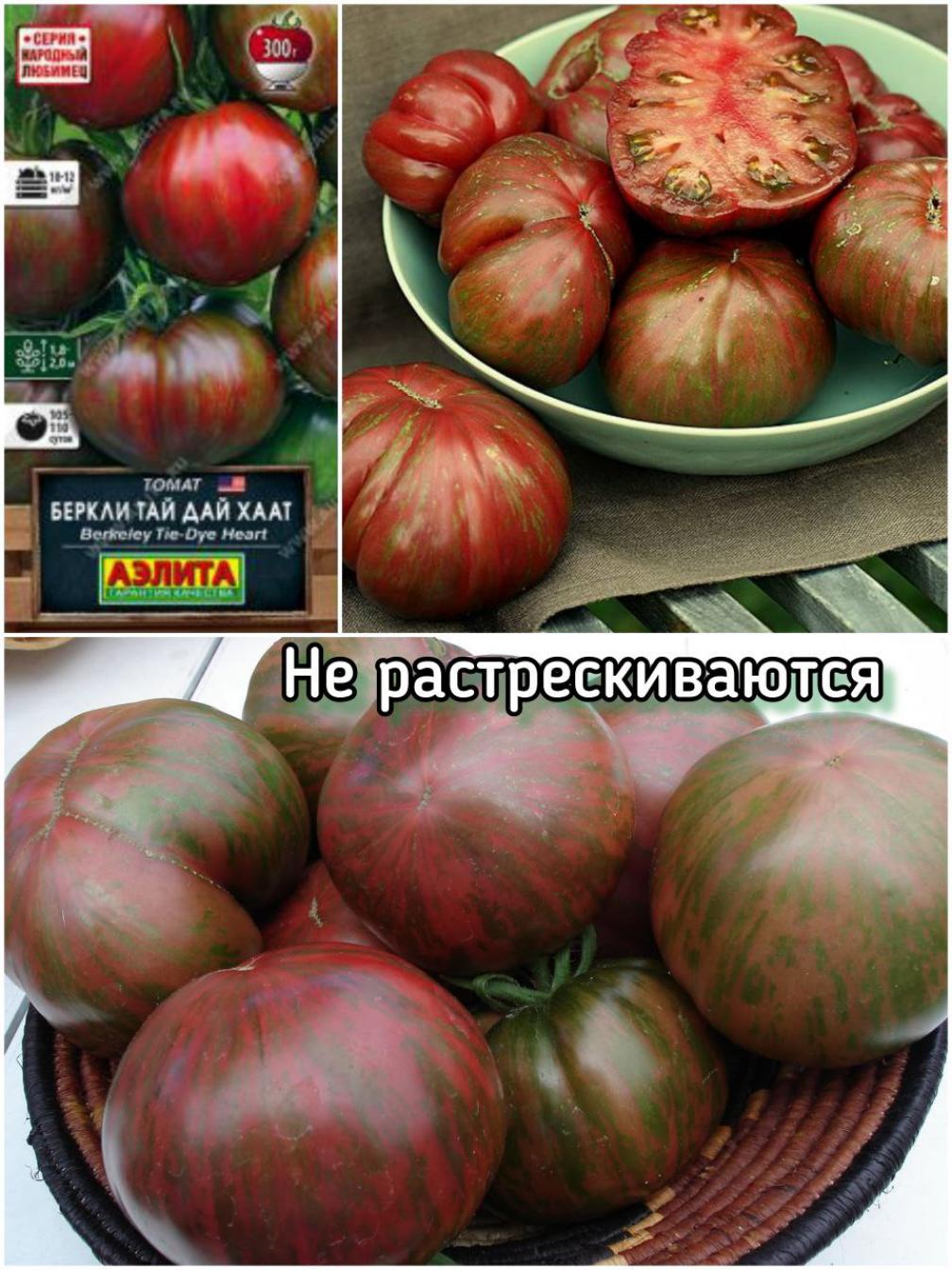 Томат Беркли Тай Дай Хаат 3