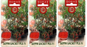 Томат Берри Баскет
