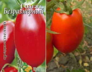 Томат Безразмерный
