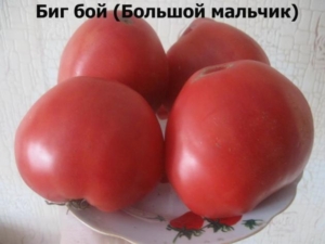 Томат Биг Бой