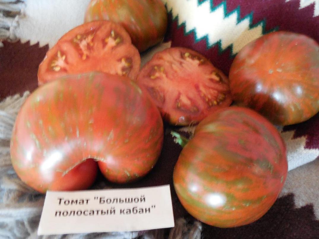 Томат Большой полосатый кабан 2