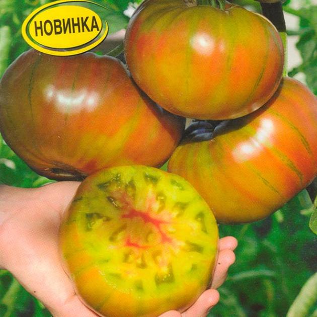 Томат Бурый медведь 2