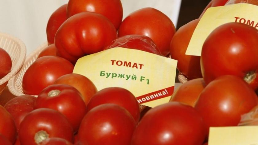 Томат Буржуй 2