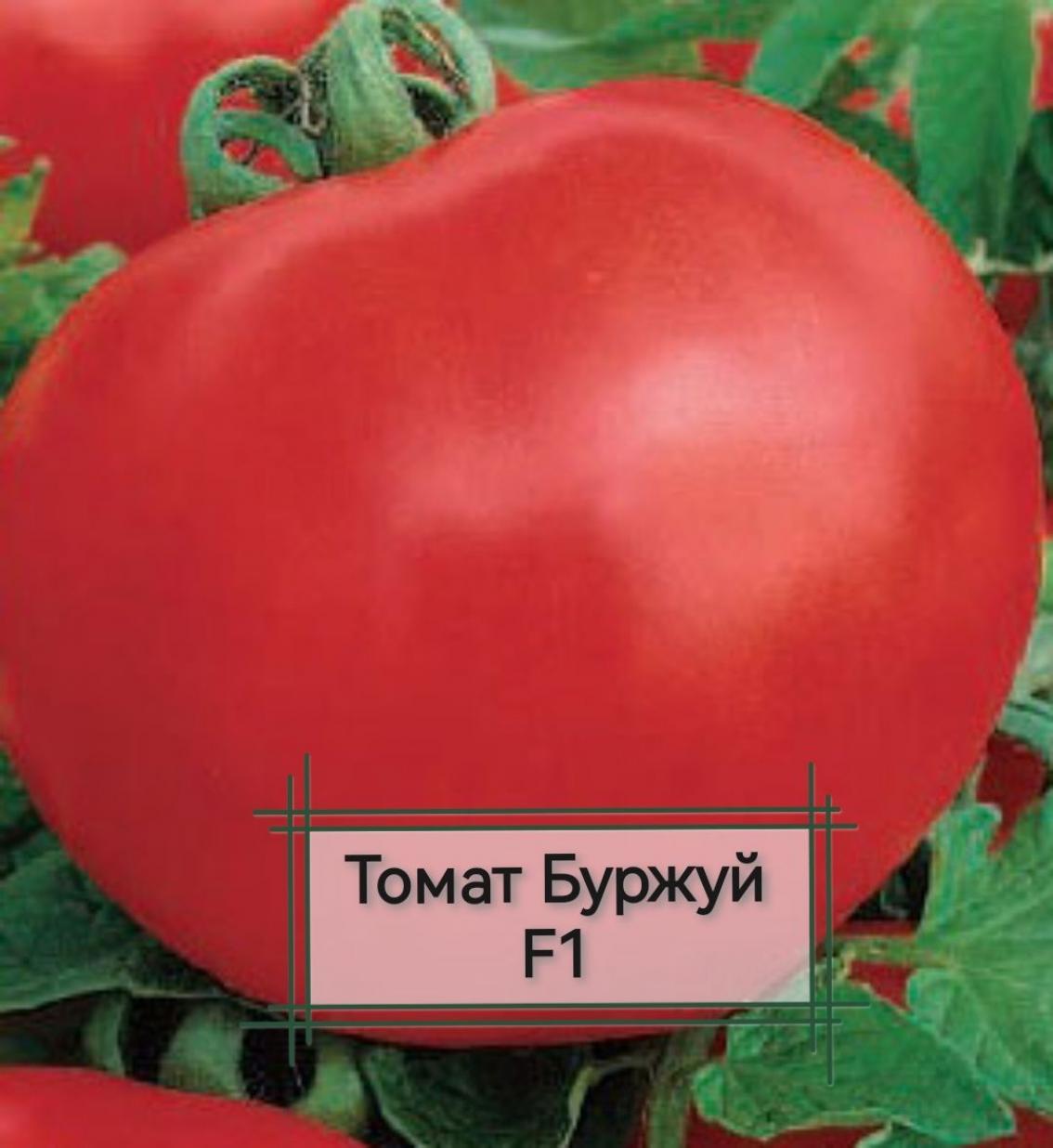 Томат Буржуй 3