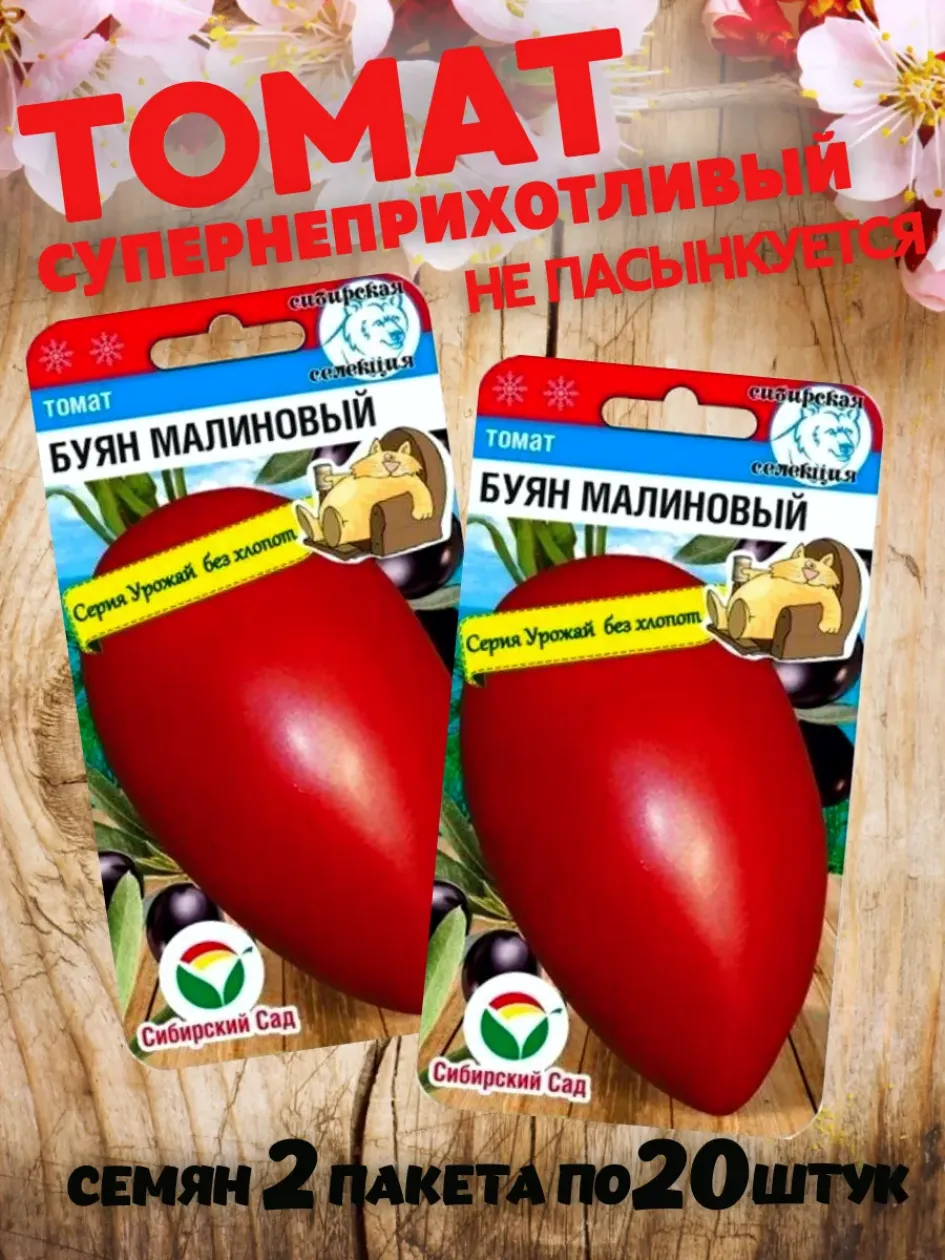 Томат Буян малиновый