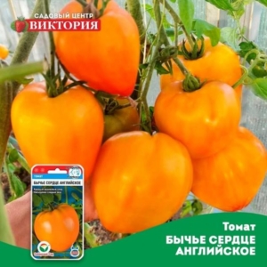 Томат Бычье сердце английское