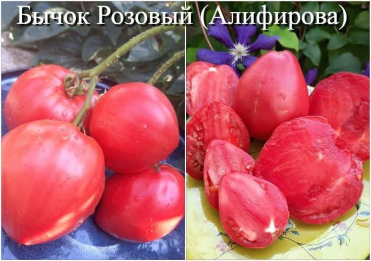 Томат Бычок розовый