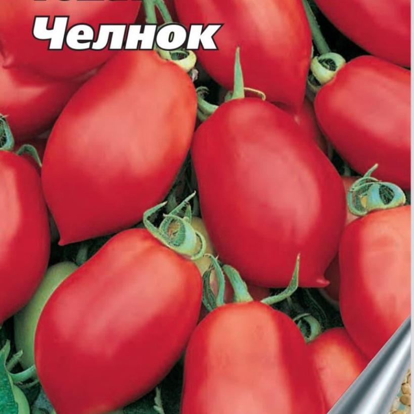 Томат Челнок 2
