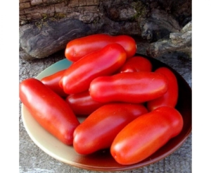 Томат Черевички