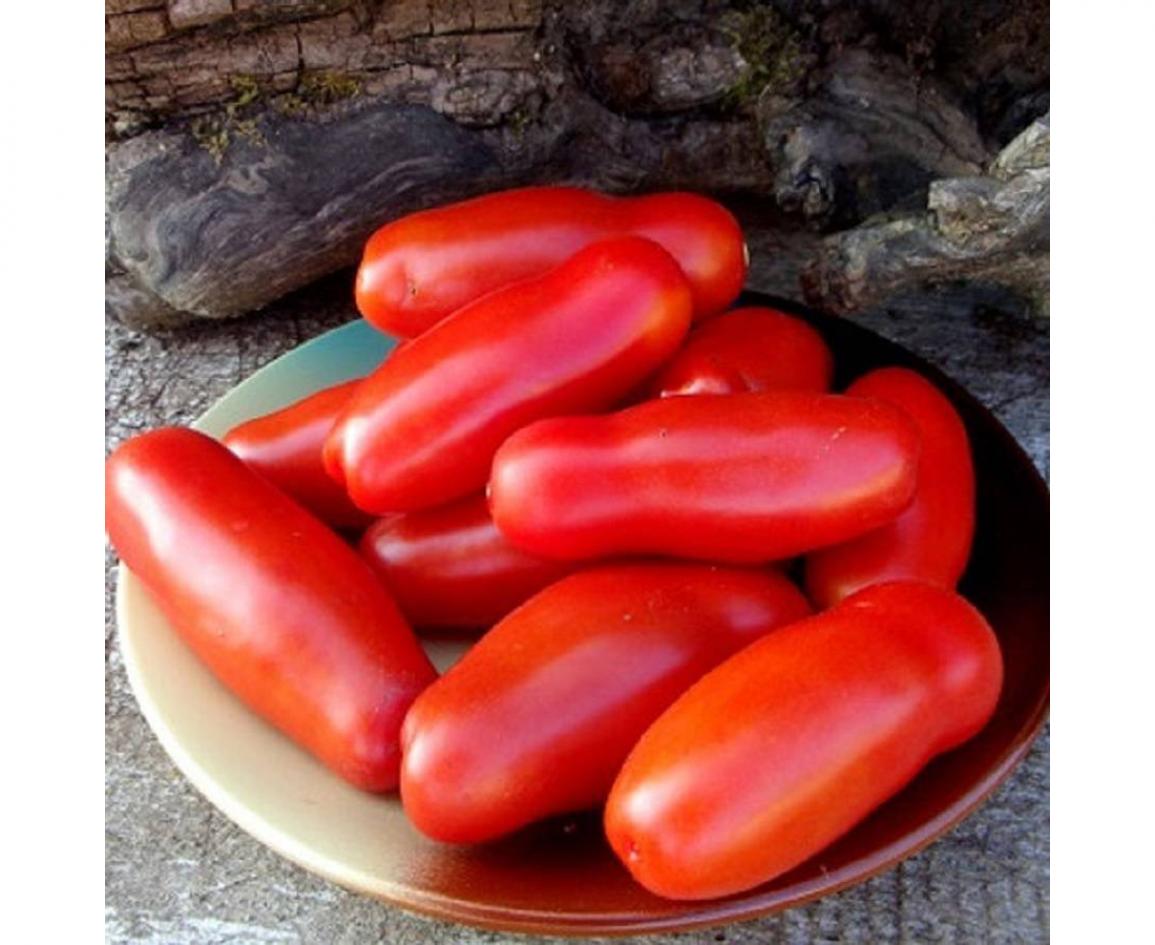 Томат Черевички