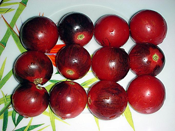 Томат Черная клубника 3