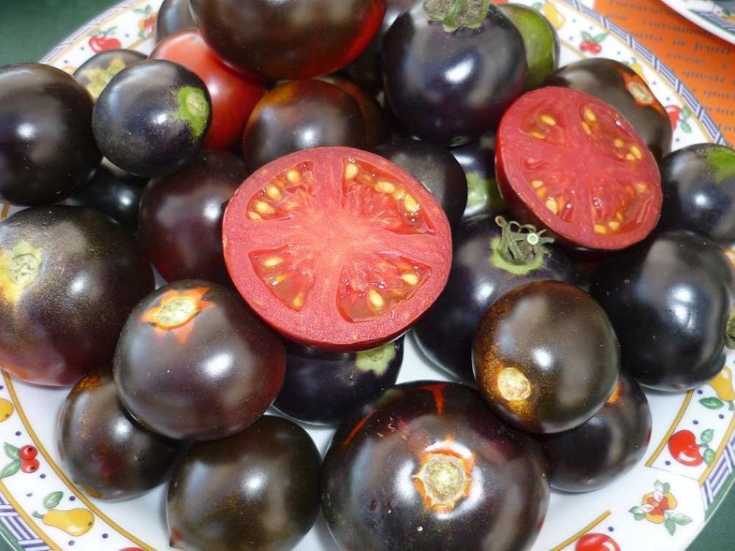 Томат Черная пантера 3