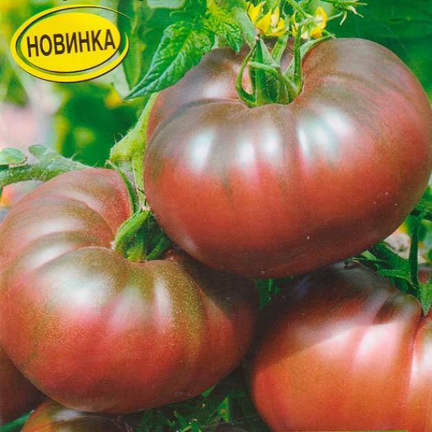 Томат Черная пантера