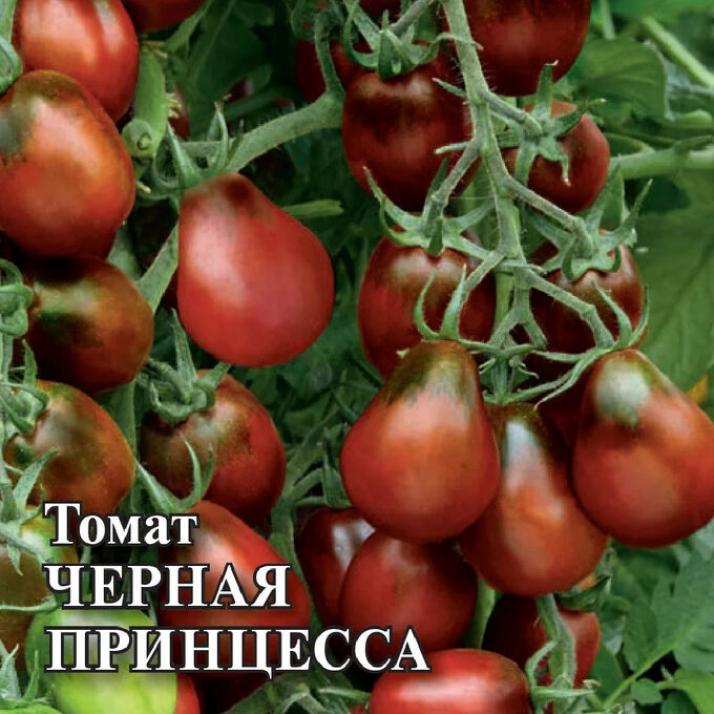 Томат Черная принцесса 3