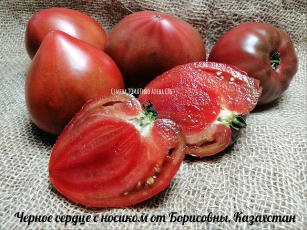 Томат Черное сердце с носиком от Борисовны 2