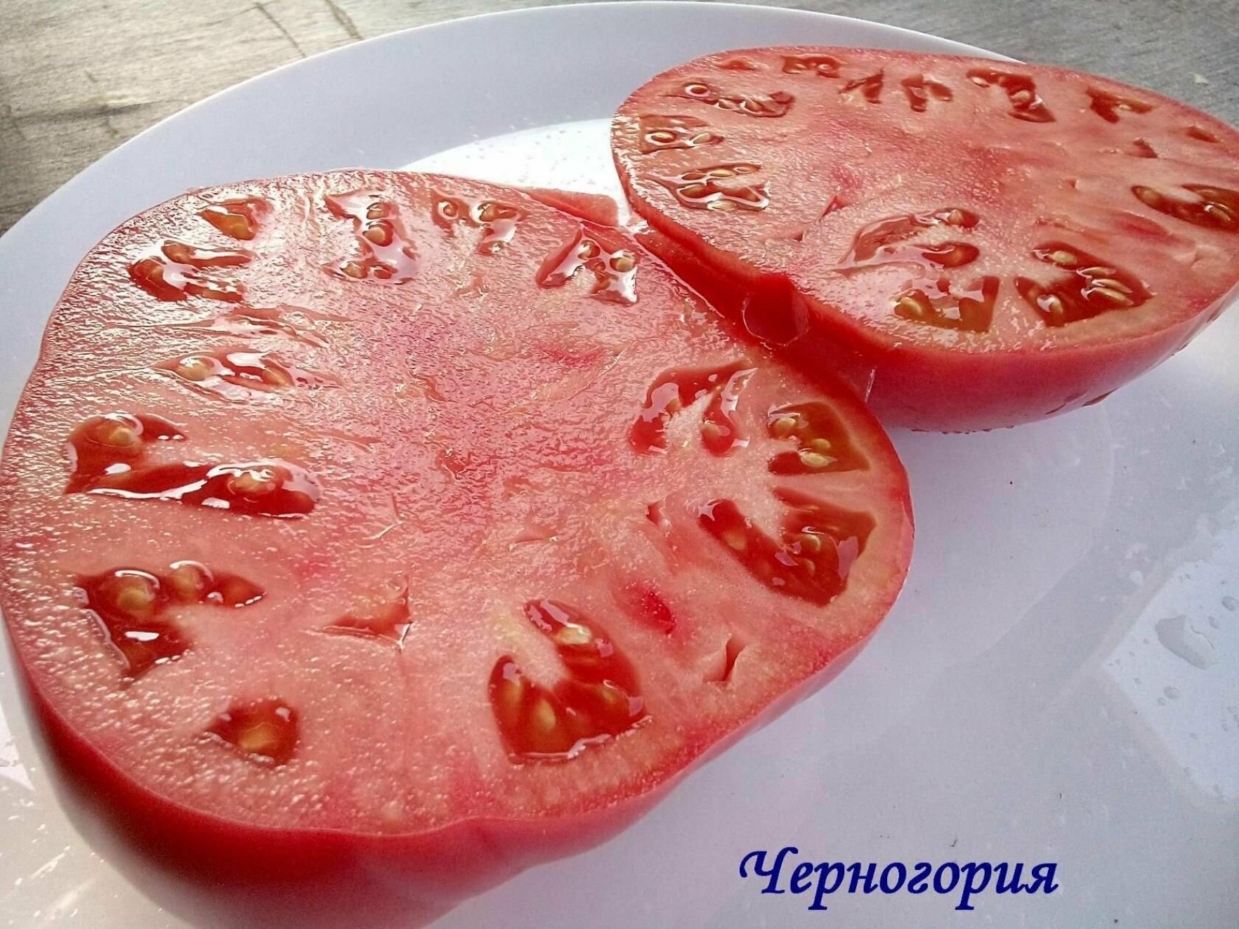 Томат Черногория 2