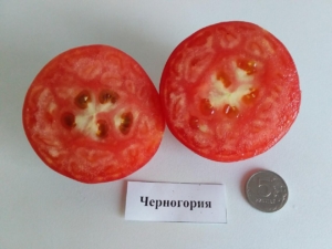 Томат Черногория