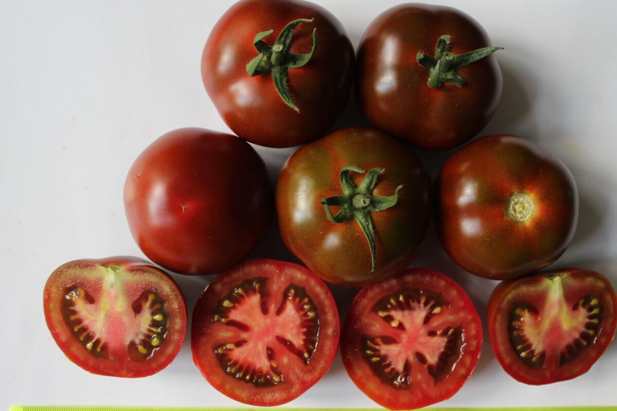 Томат Черный бумер 2